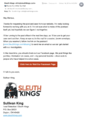 Sleuth Kings-Strange Postcard Case-Email-Signup Response.png