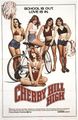 Cherry Hill High-1977-Poster-1.jpg