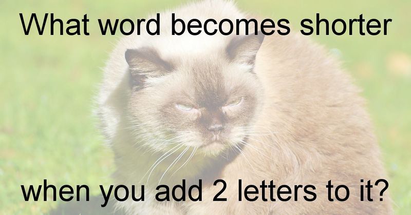 File:Sleuth Kings-Facebook-20180323-Puzzle.jpg
