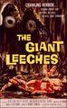 Attack of the Giant Leeches-1959-Poster-1.jpg