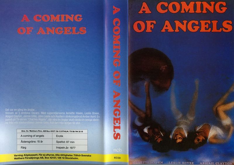 File:A Coming of Angels-1977-Swedish-VHS-1.jpg